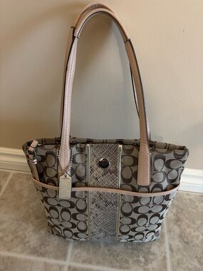 Classic Coach with Stripe Python look in Beige and Taupe with Leather Trim